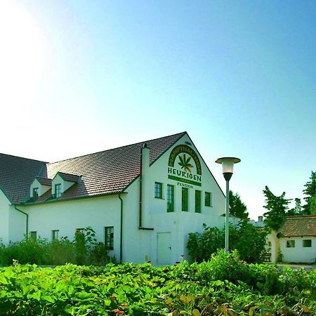 Hanfthal-Hof Laa an der Thaya Εξωτερικό φωτογραφία